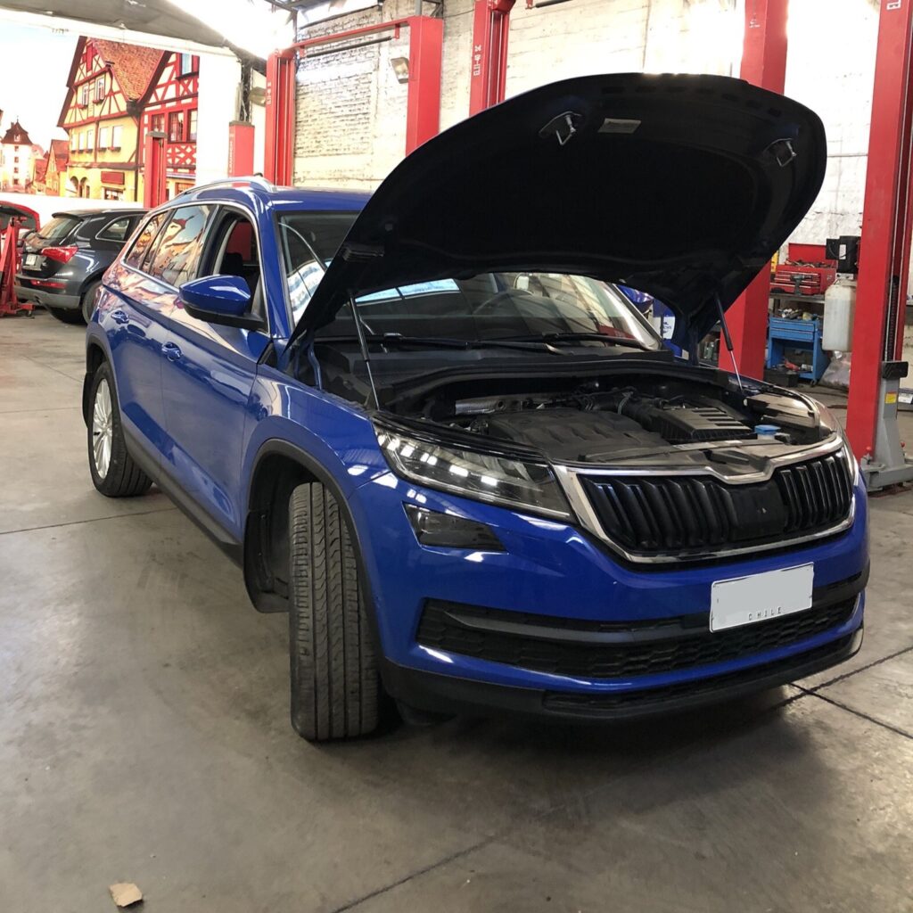 skoda-1.jpeg